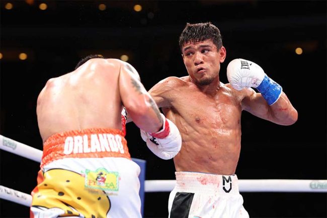 井上尚弥よ、「俺から逃げるな」 懲りずに挑発する