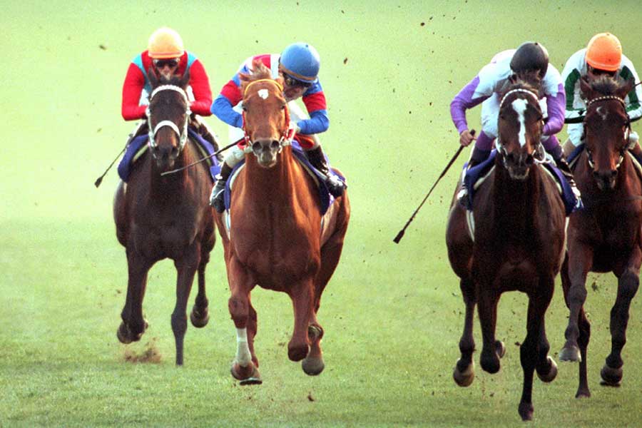 1999年有馬記念、ハナ差の接戦を演じたグラスワンダーとスペシャルウィーク（右）【写真：産経新聞社】