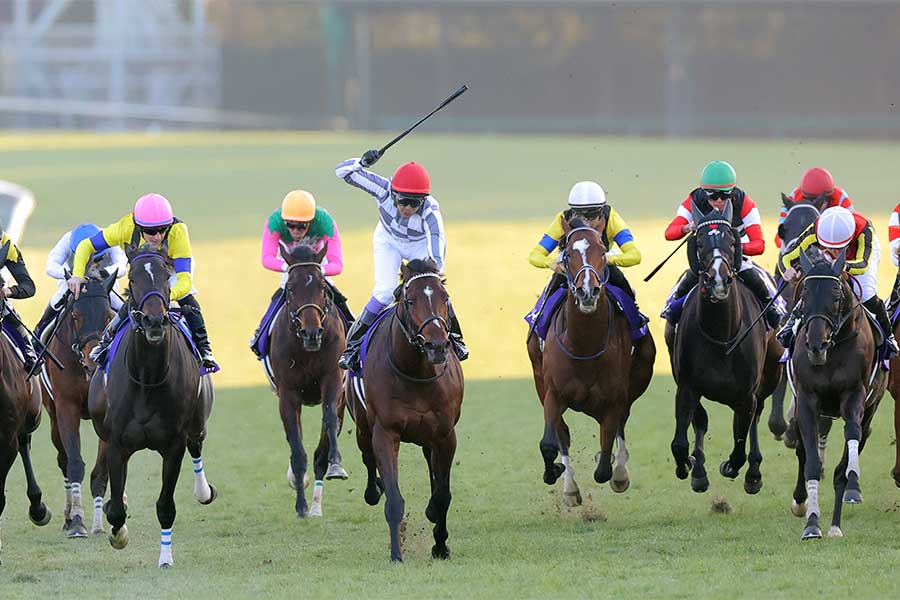 昨年の有馬記念のゴール前【写真：産経新聞社】