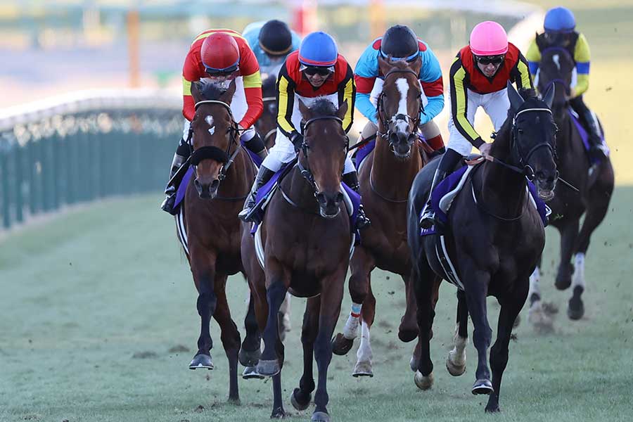 有馬記念を制したレガレイラ（左手前）【写真：産経新聞社】