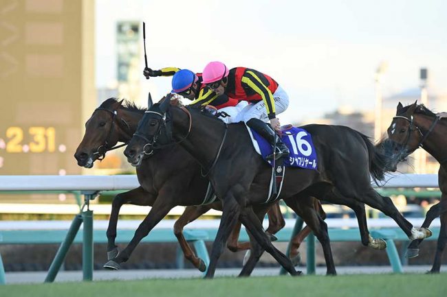 騎乗してるの熱い！」 有馬記念に来ていた今年話題の4人組にファン驚き