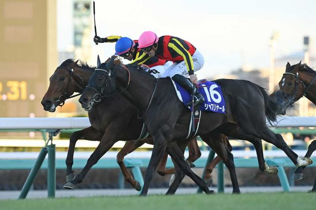 有馬 有馬あと80mで「ううううう悔しい」 首を曲げ…3着ダービー馬鞍上の仕草