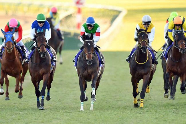 良い馬が多くて迷う」今年のホープフルS 超名牝シーザリオの仔が教えて