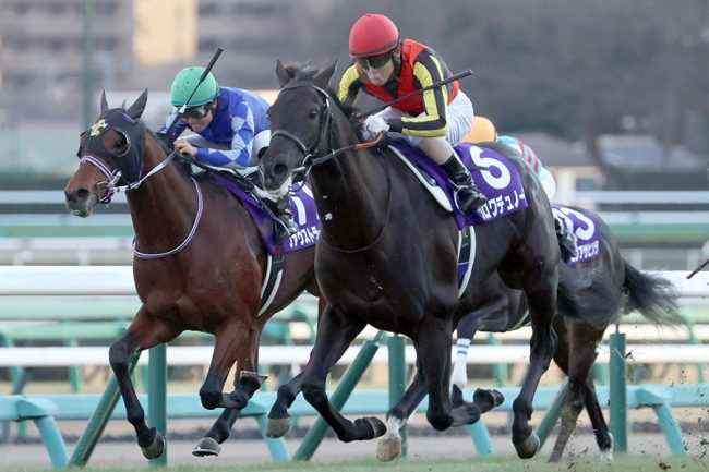 怪物クロワデュノール圧勝、師走の中山に走った衝撃にファン「三冠馬
