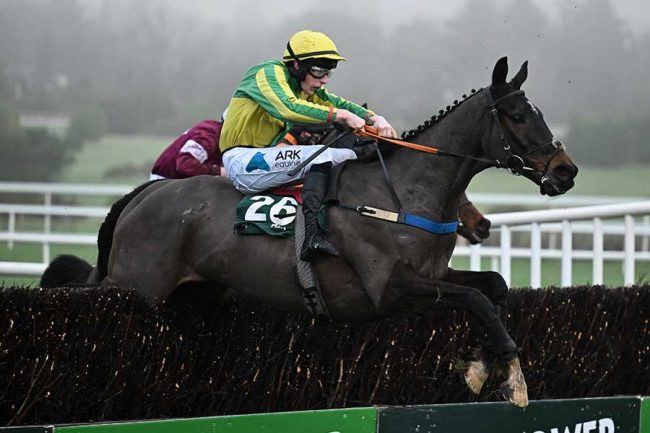 海外競馬で珍事「天才だね」 狭いコースで27頭が混雑した