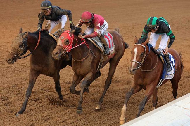 世界を震撼させても無冠 フォーエバーヤングの「特別賞」に反応様々