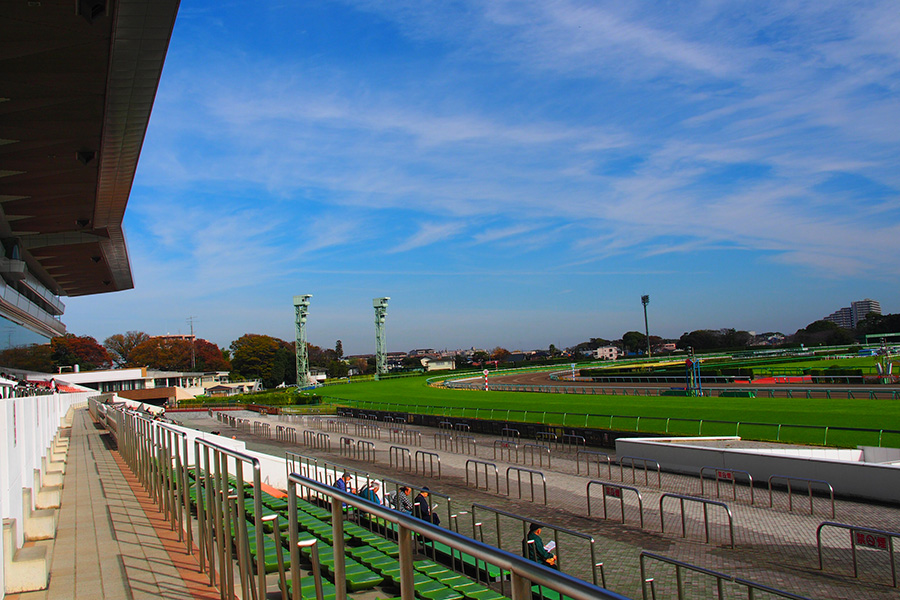 中央競馬の生中継で流れているCMが話題に（画像はイメージ）【写真：写真AC】