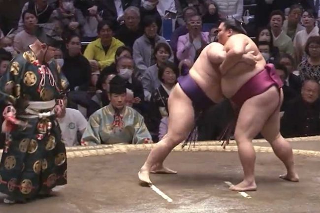 大相撲で場内騒然の珍事 即座に気づいた行司の所作にネット感嘆「手際
