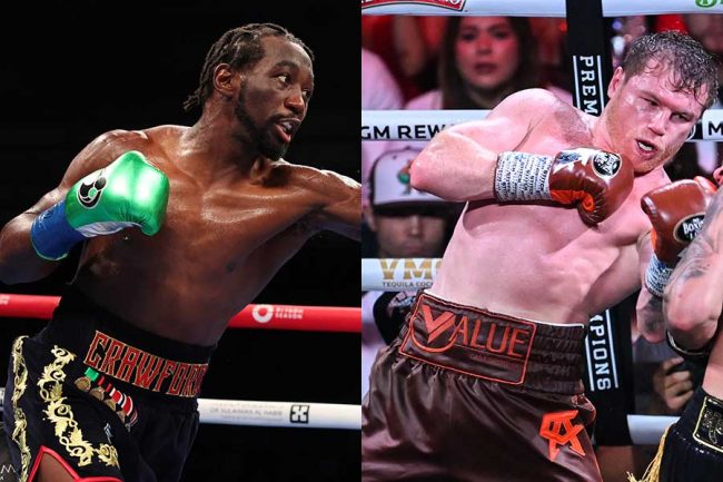 カネロvsクロフォード、4階級制覇の大物対決が中止に 合意報道から