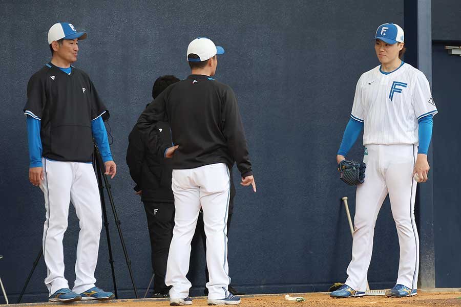 日本ハムのキャンプに訪れた芸能人が話題【写真：産経新聞社】