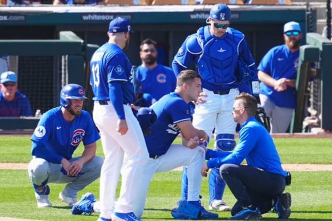 頭部に170キロ打球直撃 現地に来ていた恋人にも心配の声殺到「無事を