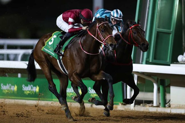 矢作厩舎　フォーエバーヤング　シンエンペラー　サウジ優勝記念キャップ フォーエバーヤング・シンエンペラー サウジ優勝記念キャップ