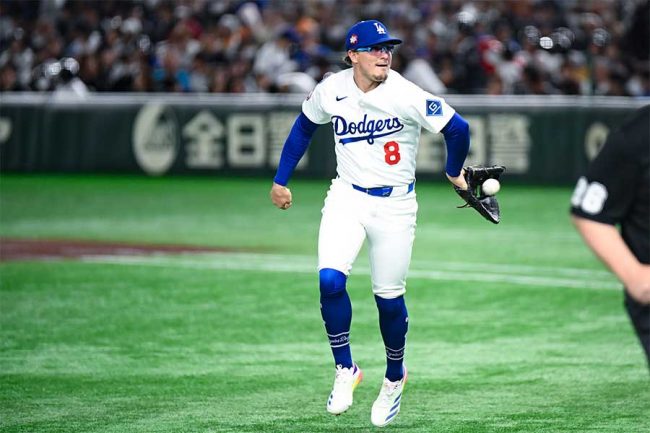 ロサンゼルス・ドジャース ユニフォーム 8 ヘルナンデス Hernández