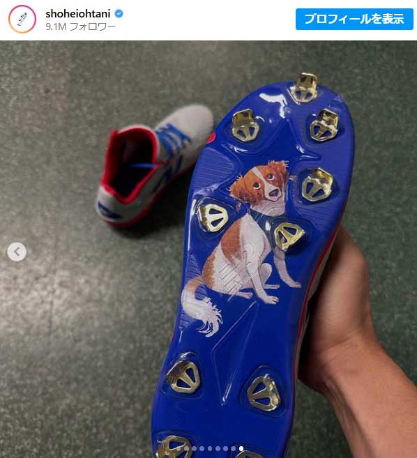 （画像は大谷のインスタグラムのスクリーンショット）