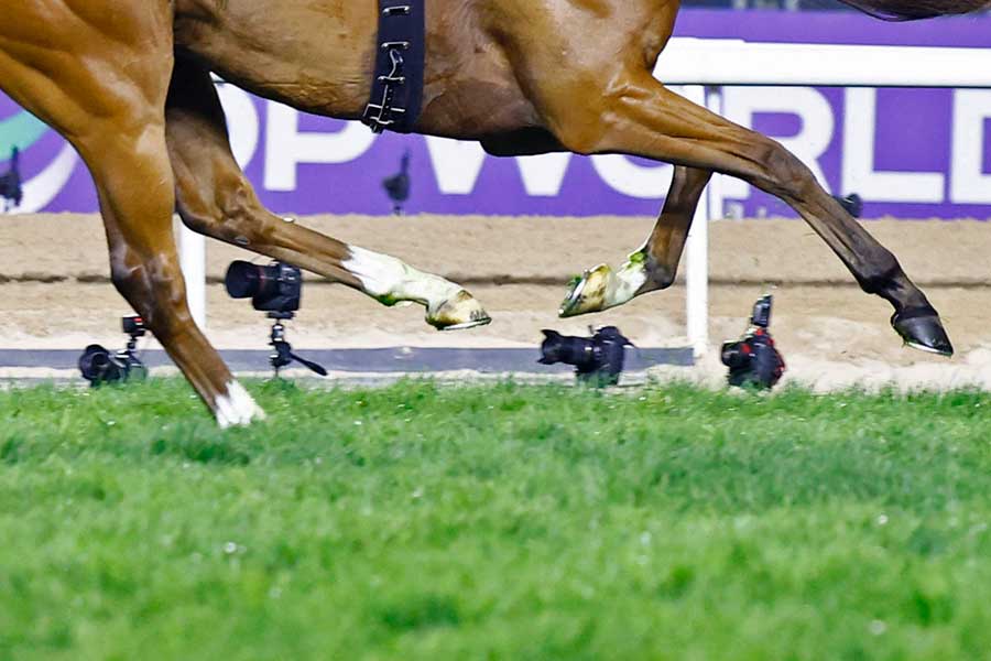 ジャパンカップ当日の残念なニュースが話題（画像はイメージ）【写真：ロイター】
