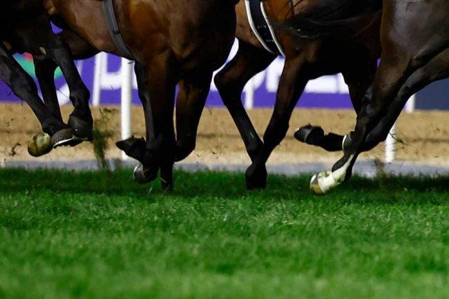 かなり前の競馬の景品の置物です。多分。 かなり前の競馬の景品の置物です。多分。 かなり前の競馬の景品