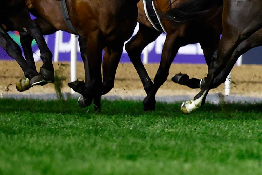 JRAの発表が話題となっている【写真:ロイター】