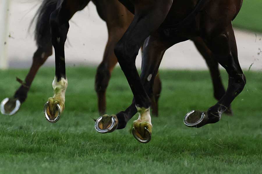 東京競馬場のグッズショップに海外メディアが注目（画像はイメージ）【写真：ロイター】
