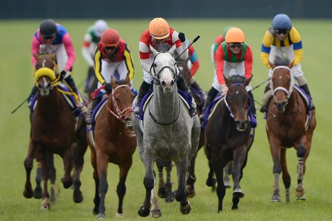 13年前の中山で生まれた