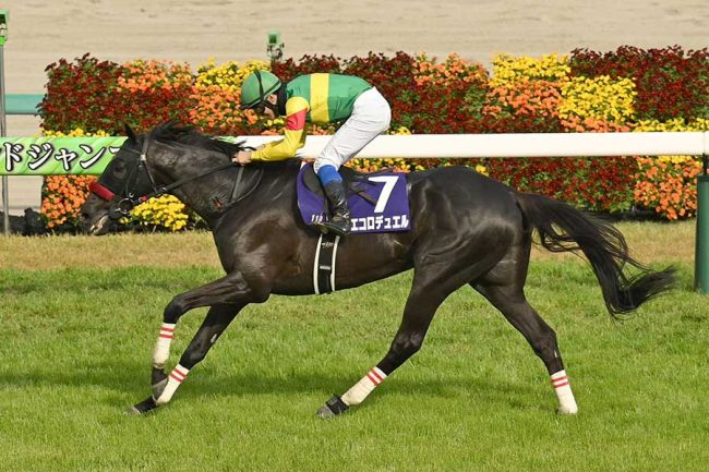 週末の競馬でレース中に祈りながら絶叫した騎手「頼む～！」 19年目の