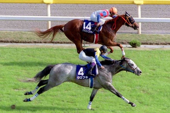 14→0」に変わりそうな今年のNHKマイルC クロフネ、エルコンドルパサー