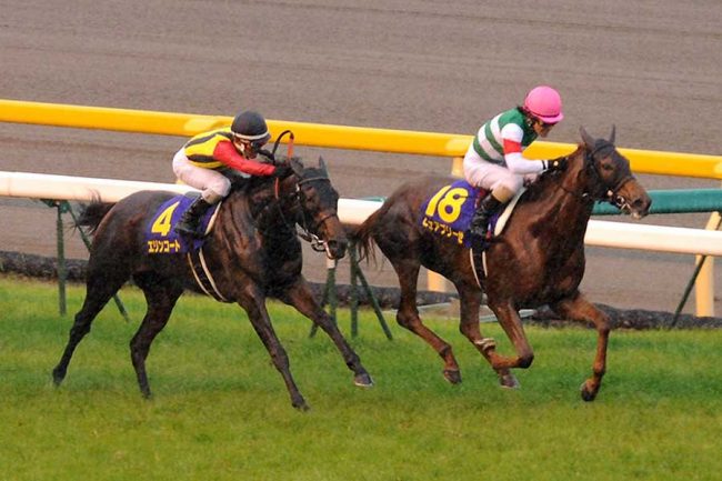 今週のオークスは雨？ 当たる年と当たらない年でズレる勝ち時計の悩み