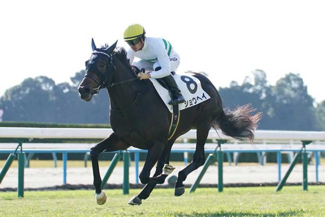 応援馬券　ショウヘイ　日本ダービー ダービーで有力視「ショウヘイ」 6月1日のLAに競馬ファン注目「打っ