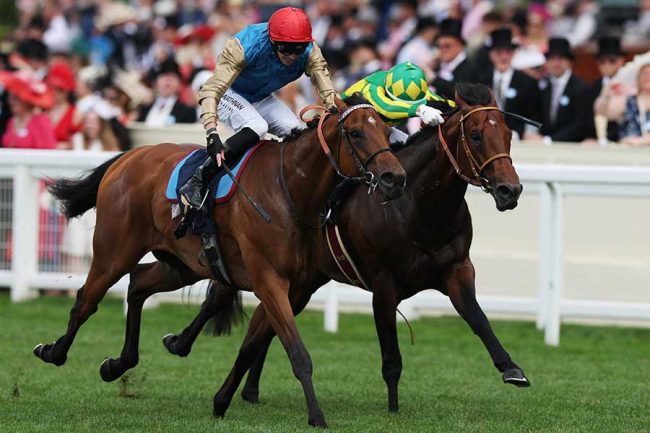 競馬ファンの方、海外レース、優勝馬 英競馬で37歳騎手がまさかの失態 日本馬負かしたG1勝利後に…調教師