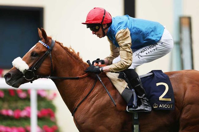 G1勝ったのに「国王夫妻に謝罪」 英競馬レース直後の失態に海外同情