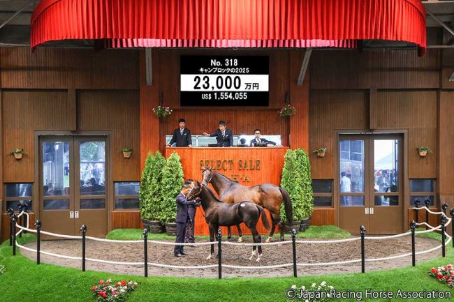 いきなり2億3000万円！世界最強馬イクイノックスの産駒 セレクトセール
