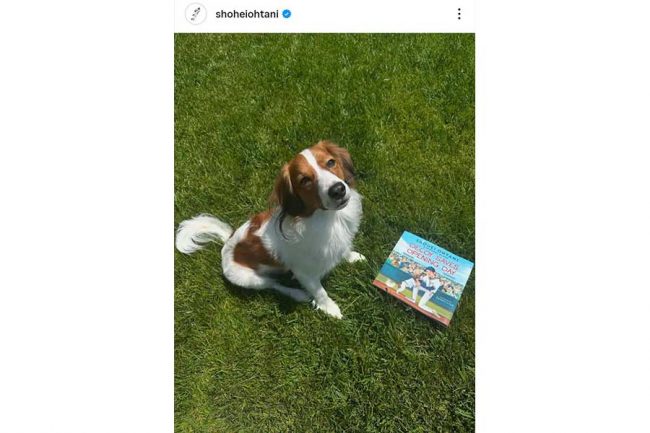 大谷翔平、初の絵本を出版へ「Decoy Saves Opening Day」 愛犬デコピン