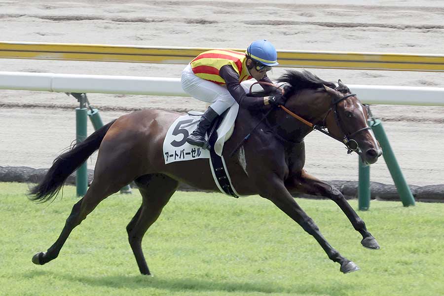 新潟芝1800メートルで勝利したアートバーゼル【写真：産経新聞社】