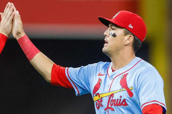 【匿名配送】新品未開封 ラーズ ヌートバー ボブルヘッド カージナルス MLB 2024年9月球場配布品 ラーズ ヌートバー ボブルヘッド セントルイス