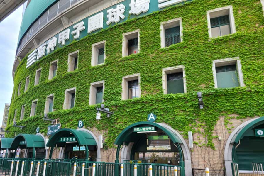 甲子園で一般客に紛れた女性議員が話題(画像はイメージ)【写真:AC】