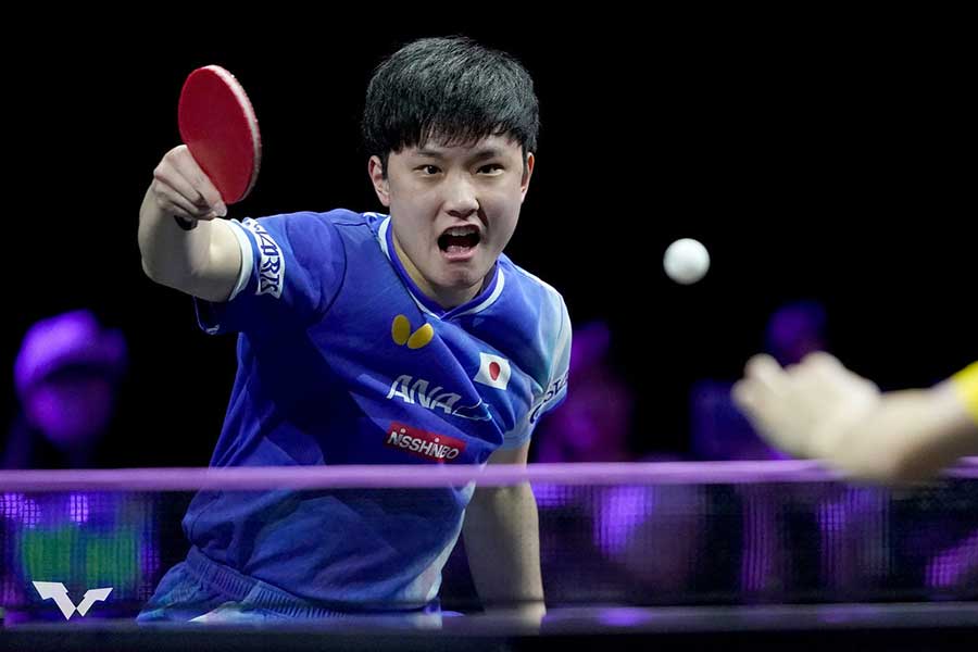 WTTチャンピオンズ横浜に出場している張本智和【写真:WTT提供】