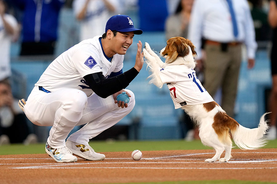 ドジャースの大谷翔平と愛犬のデコピン【写真：AP/アフロ】