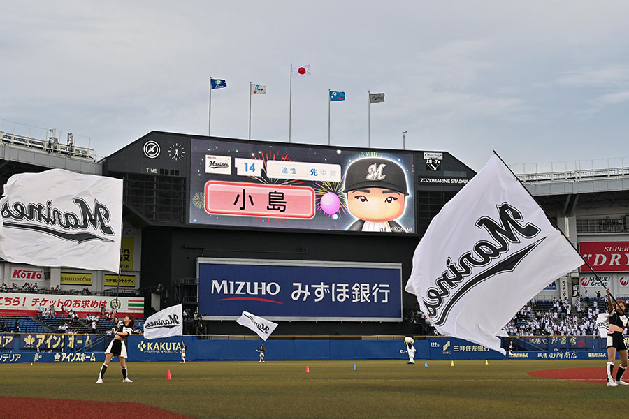 ロッテ―ソフトバンク戦で男性ファンが話題に【写真：産経新聞社】