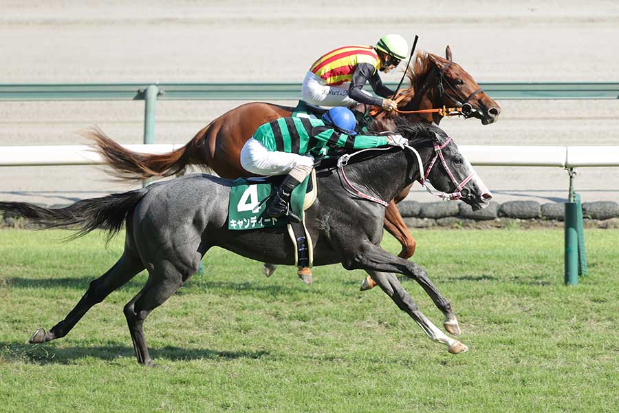 中京2歳ステークスで優勝した、北村友一騎乗のキャンディード【写真：産経新聞社】