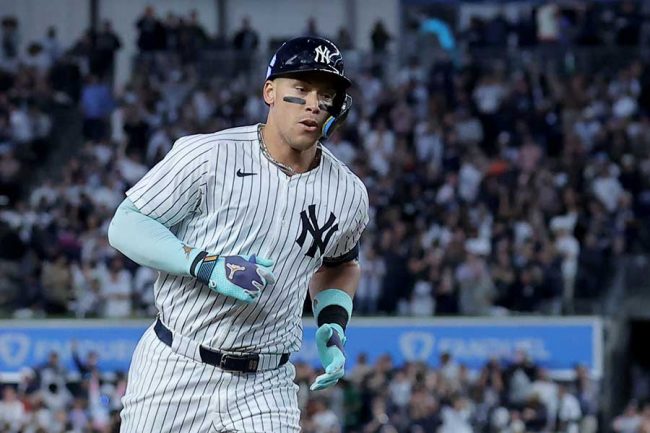 ヤ軍ジャッジに