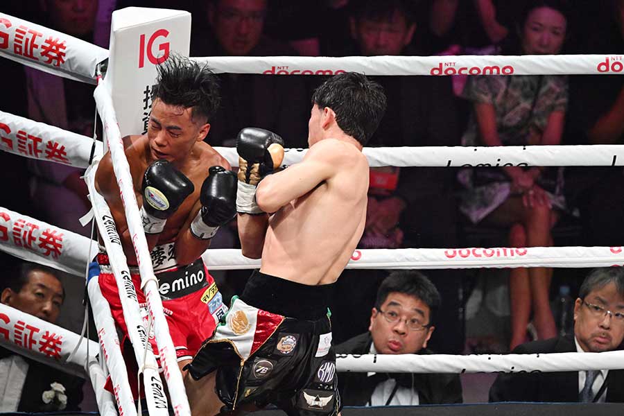 連打を浴びる武居由樹【写真：徳原隆元】