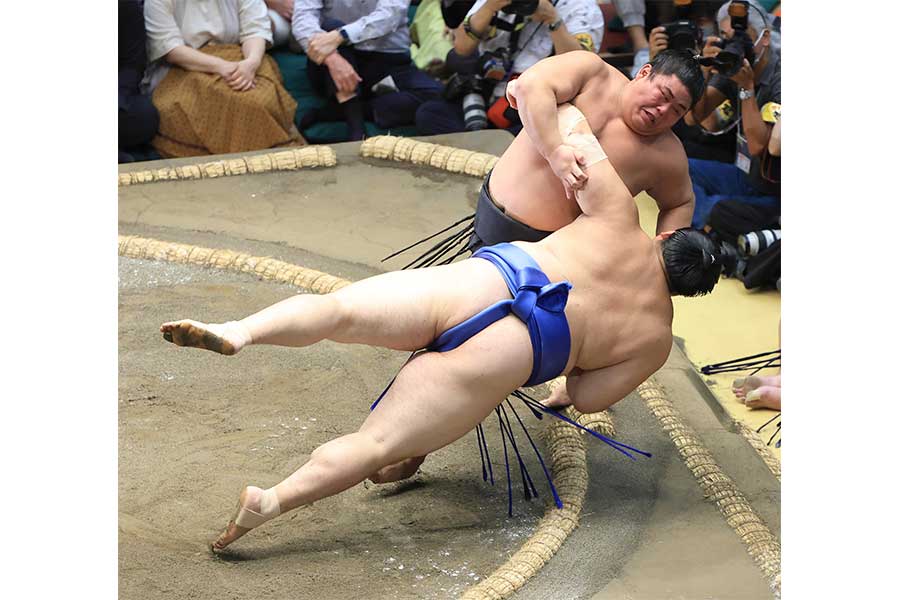 4日目、大の里を突き落とす伯桜鵬(左)【写真:産経新聞社】