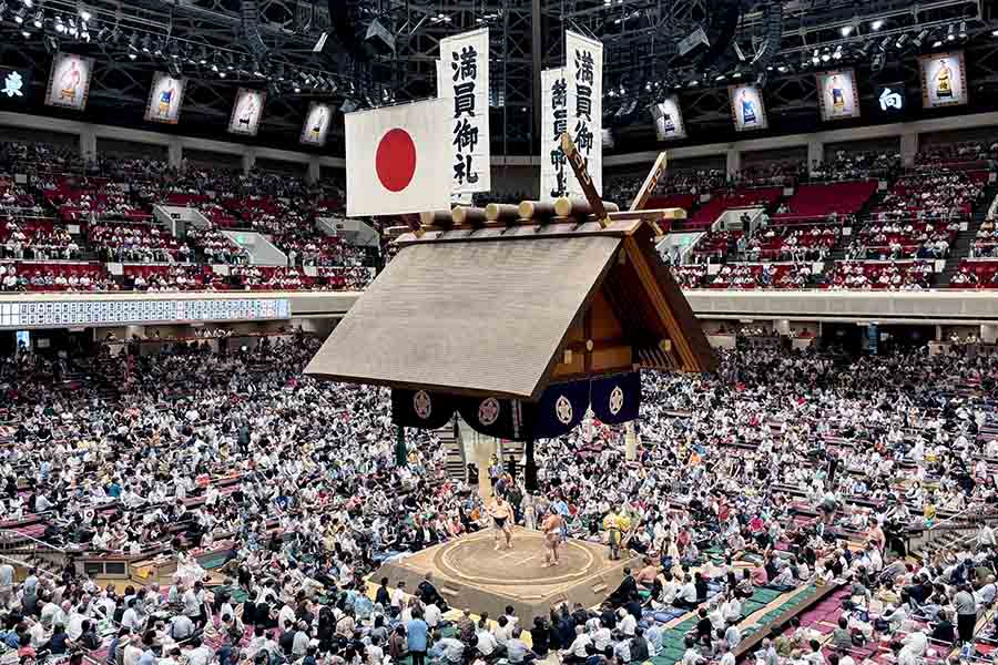 女優の奥菜恵が秋場所観戦をSNSで報告【写真：スポーツ報知/アフロ】