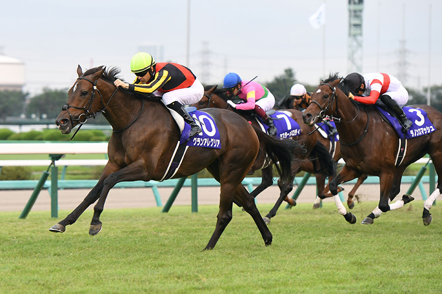 2020年のスプリンターズSで1着となったグランアレグリア【写真:産経新聞社】