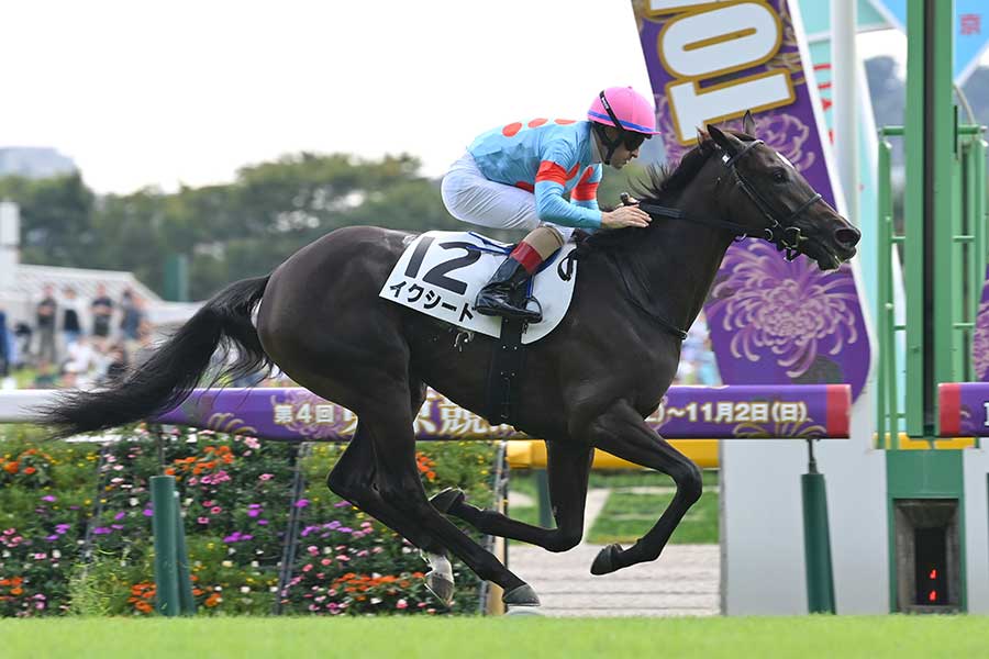 新馬戦で鮮烈デビューを飾った1番人気のイクシード【写真：産経新聞社】