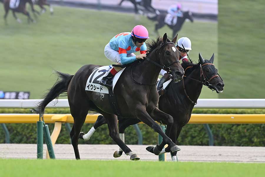 新馬戦で鮮烈デビューを飾った1番人気のイクシード【写真：産経新聞社】