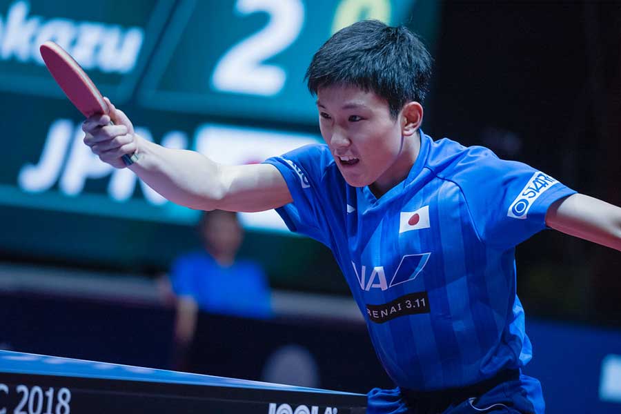 張本智和【写真：World Table Tennis提供】