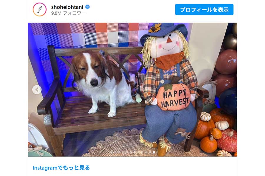 大谷翔平が公開した最新のデコピン（画像は大谷翔平のインスタグラムのスクリーンショット）