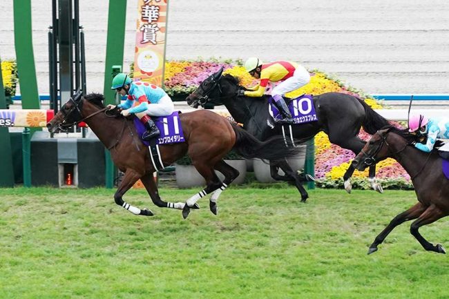 逃げる武豊は「本当に恐ろしい」「脳を焼かれる…」 7→7→5番人気でG1