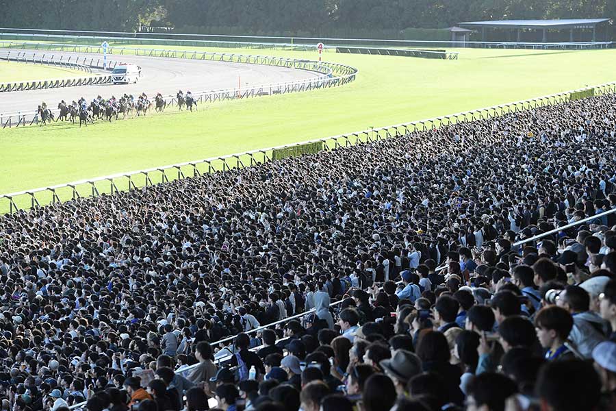 昨年の菊花賞デーの京都競馬場【写真:産経新聞社】