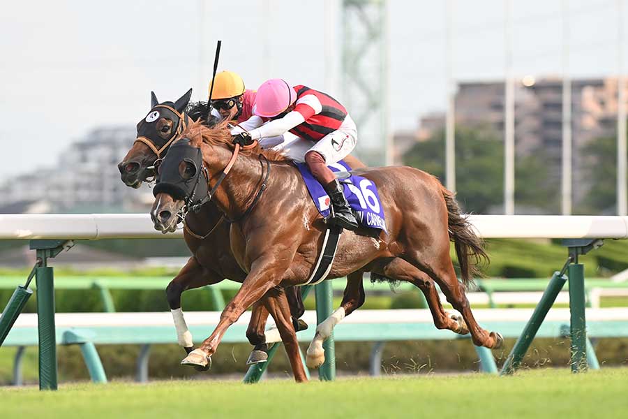 G1スプリンターズS、ゴール前で競り合うウインカーネリアン（手前）とジューンブレア【写真：産経新聞社】